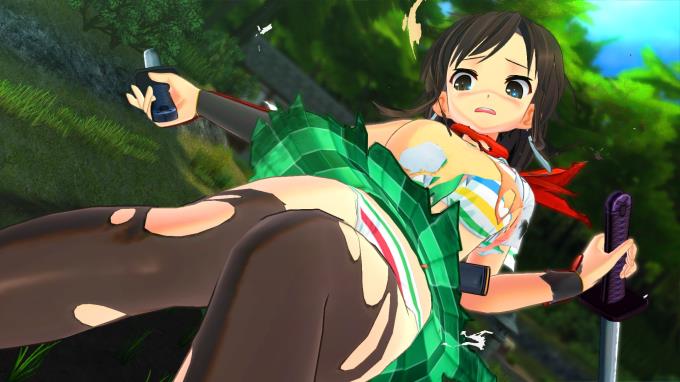 SENRAN KAGURA Burst Re Newal Update v1 01 PC Crack