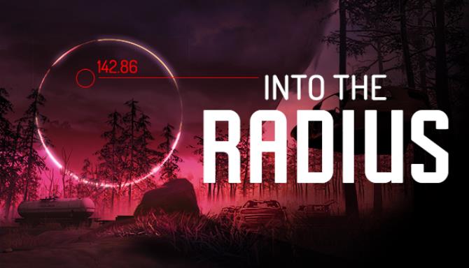 Into the Radius VR