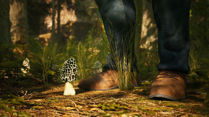 Morels The Hunt Torrent Download