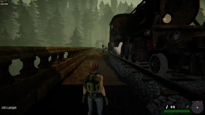 Jane Westlake Adventures The Mystery Train Torrent Download