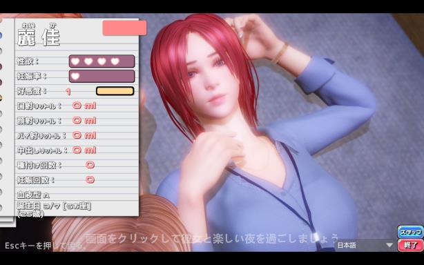 PerfectLover PC Crack