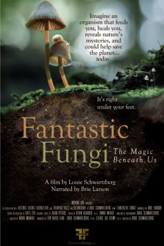 Fantastic Fungi Free Download