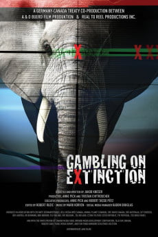 Gambling on Extinction Free Download