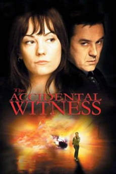 The Accidental Witness Free Download