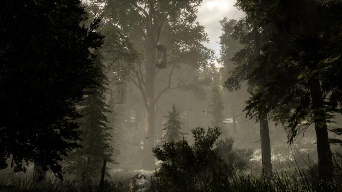 The Woods Escape the Room VR Torrent Download