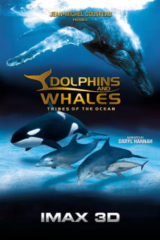 Dolphins and Whales 3D: Tribes of the Ocean Free Download
