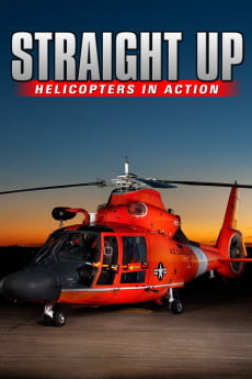 Straight Up: Helicopters in Action Free Download