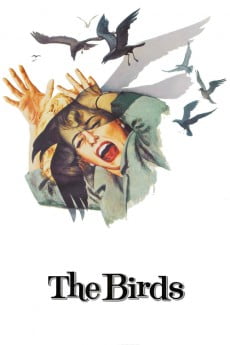 The Birds Free Download