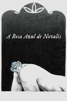 The Blue Flower of Novalis Free Download