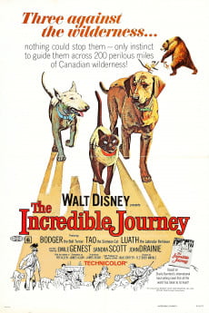 The Incredible Journey Free Download