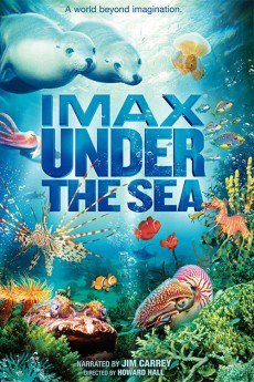 Under the Sea 3D Free Download