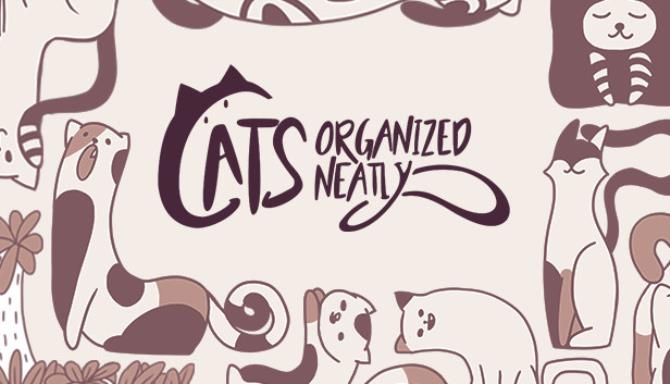 Cats Organized Neatly