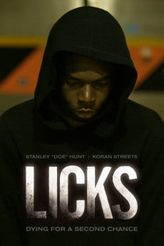 Licks Free Download