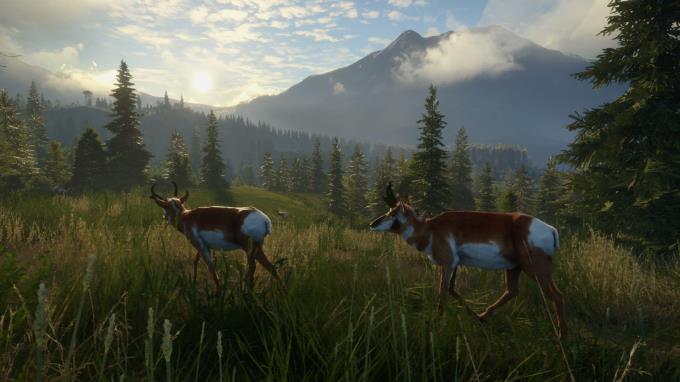 theHunter: Call of the Wild TruAXIS Torrent Download