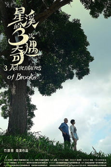 Three Adventures of Brooke Free Download