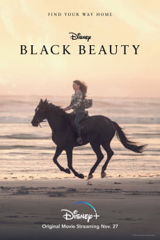 Black Beauty Free Download