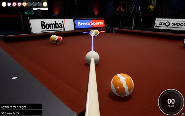 Brunswick Pro Billiards Torrent Download