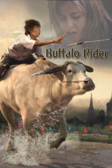 Buffalo Rider Free Download