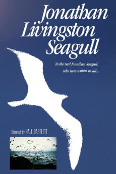Jonathan Livingston Seagull Free Download