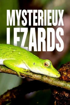 Laws of the Lizard Free Download