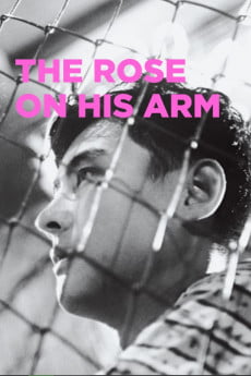 The Rose on His Arm Free Download