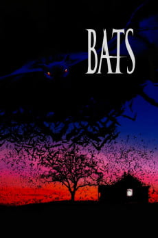 Bats Free Download