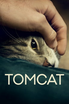 Tomcat Free Download
