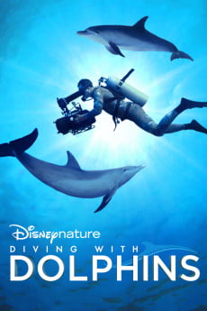 Diving with Dolphins Free Download