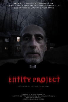 Entity Project Free Download