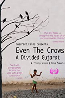 Even the Crows: A Divided Gujarat Free Download