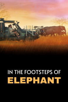 In the Footsteps of Elephant Free Download