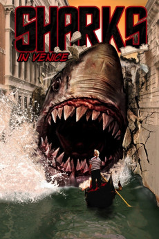Shark in Venice Free Download
