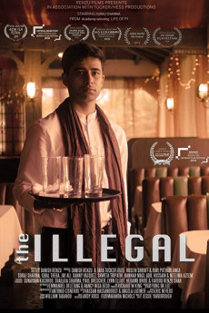 The Illegal Free Download