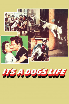 It’s a Dog’s Life Free Download