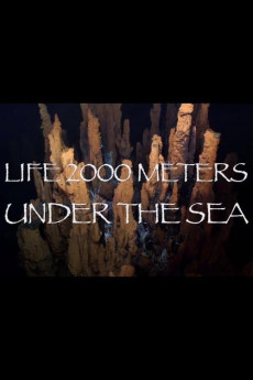 Life 2,000 Meters Under the Sea Free Download
