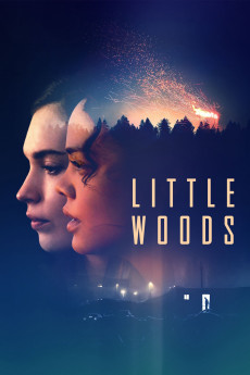 Little Woods Free Download