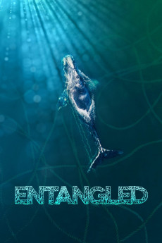 Entangled: The Race to Save Right Whales from Extinction Free Download