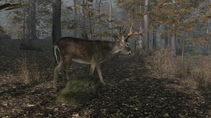 Pro Deer Hunting 2 Torrent Download