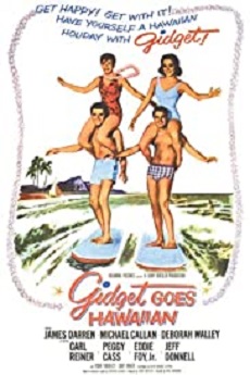 Gidget Goes Hawaiian Free Download