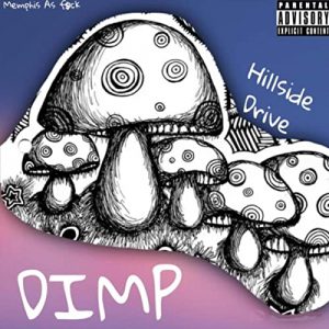 Dimp Welzbacher – Hill Side Drive (2021) Free Download
