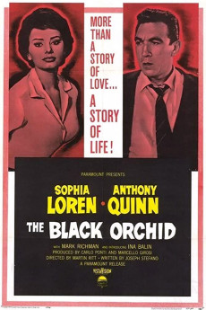 The Black Orchid Free Download