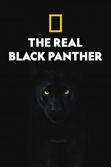 The Real Black Panther Free Download