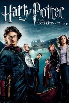 Harry Potter and the Goblet of Fire Free Download