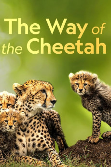 Big Cat Week The Way of the Cheetah Free Download