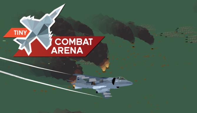 Tiny Combat Arena Free Download