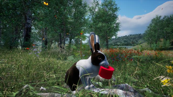 Rabbit Meadow Torrent Download