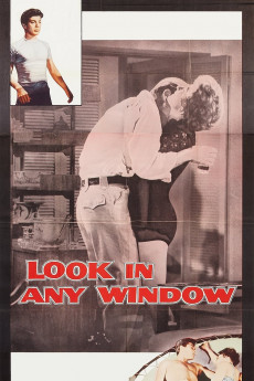 Look in Any Window Free Download