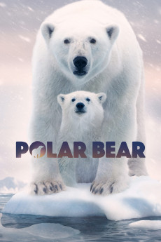 Polar Bear Free Download