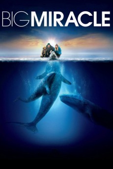 Big Miracle Free Download