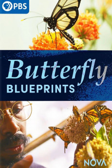 Nova Butterfly Blueprints Free Download